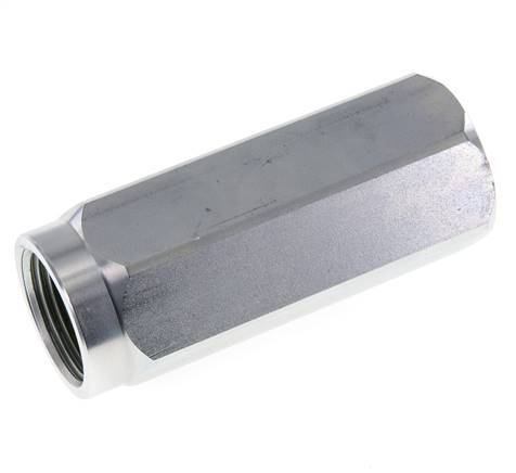G 1'' Clapet Anti Retour Hydraulique Acier 3-350 Bar (43.5-5075 Psi)