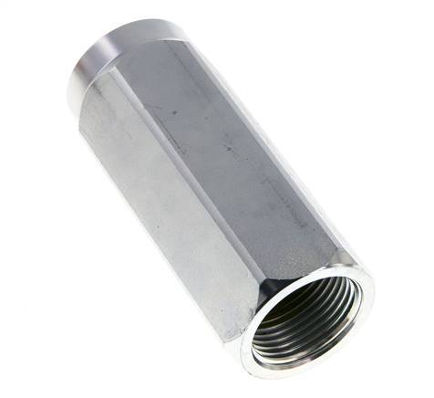 G 1'' Clapet Anti Retour Hydraulique Acier 3-350 Bar (43.5-5075 Psi)