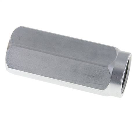 G 1'' Clapet Anti Retour Hydraulique Acier 5-350 Bar (72.5-5075 Psi)