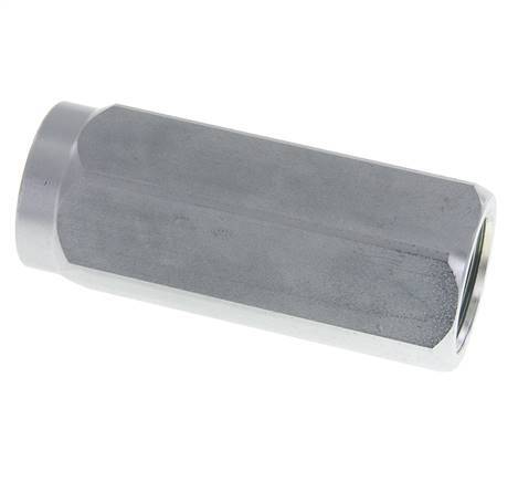 G 1'' Clapet Anti Retour Hydraulique Acier 5-350 Bar (72.5-5075 Psi)