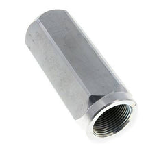 G 1-1/4'' Clapet Anti Retour Hydraulique Acier 3-300 Bar (43,5-4350 Psi)