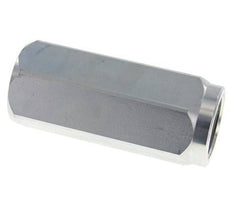 G 1-1/4'' Clapet Anti Retour Hydraulique Acier 8-300 Bar (116-4350 Psi)