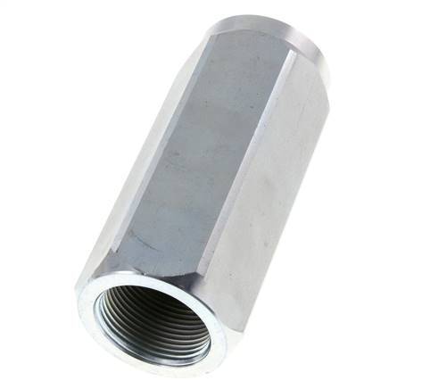 G 1-1/4'' Clapet Anti Retour Hydraulique Acier 8-300 Bar (116-4350 Psi)