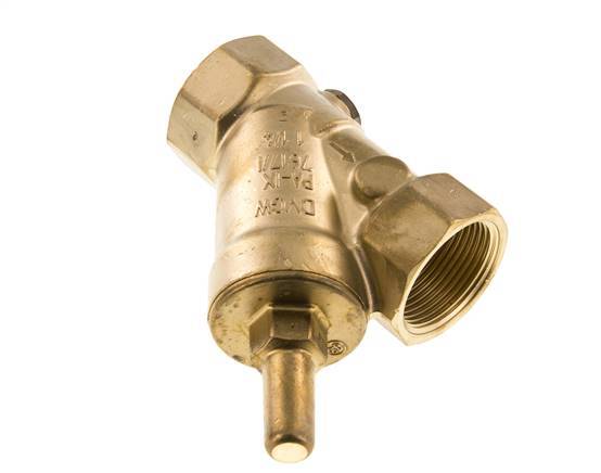 Rp 1-1/4'' Laiton Clapet Anti Retour En Y Eau Potable 10 Bar (145 Psi) EPDM