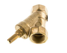 Rp 1-1/4'' Laiton Clapet Anti Retour En Y Eau Potable 10 Bar (145 Psi) EPDM