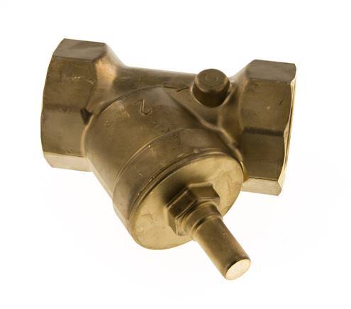 Rp 1-1/2'' Laiton Clapet Anti Retour En Y 16 Bar (232 Psi) FKM