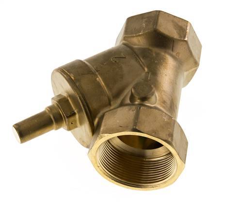 Rp 1-1/2'' Laiton Clapet Anti Retour En Y 16 Bar (232 Psi) FKM