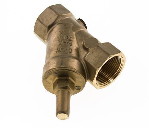 Rp 3/4'' Brass Y Check Valve 10 bar (145 psi) FKM