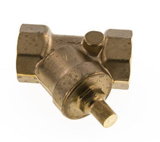 Rp 1-1/4'' Laiton Clapet Anti Retour En Y 10 Bar (145 Psi) FKM