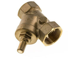 Rp 1-1/2'' Brass Y Check Valve 10 bar (145 psi) FKM