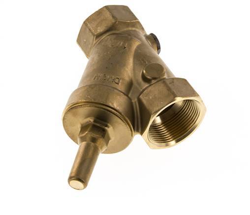 Rp 2'' Brass Y Check Valve 10 bar (145 psi) FKM