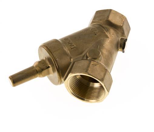 Rp 2'' Laiton Clapet Anti Retour En Y 10 Bar (145 Psi) FKM