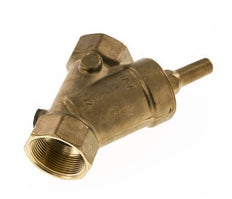 Rp 2'' Brass Y Check Valve 10 bar (145 psi) FKM