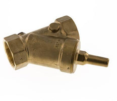 Rp 2'' Laiton Clapet Anti Retour En Y 10 Bar (145 Psi) FKM